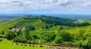 Hiking around Ahrweiler and local wine festival!